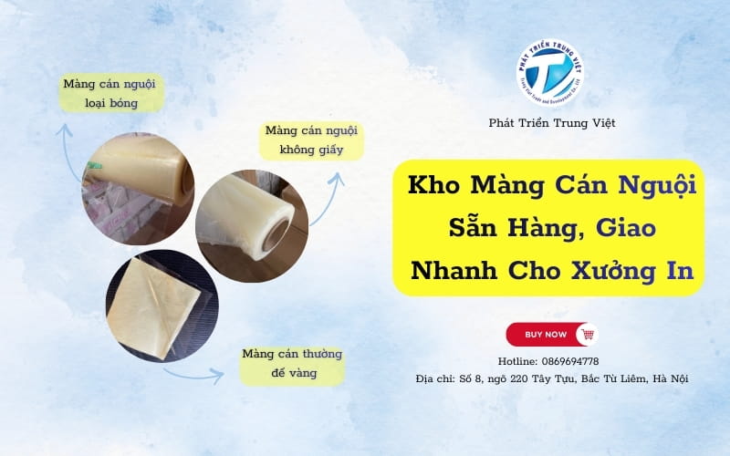 Kho Màng Cán Nguội – Sẵn Hàng, Giao Nhanh Cho Xưởng In